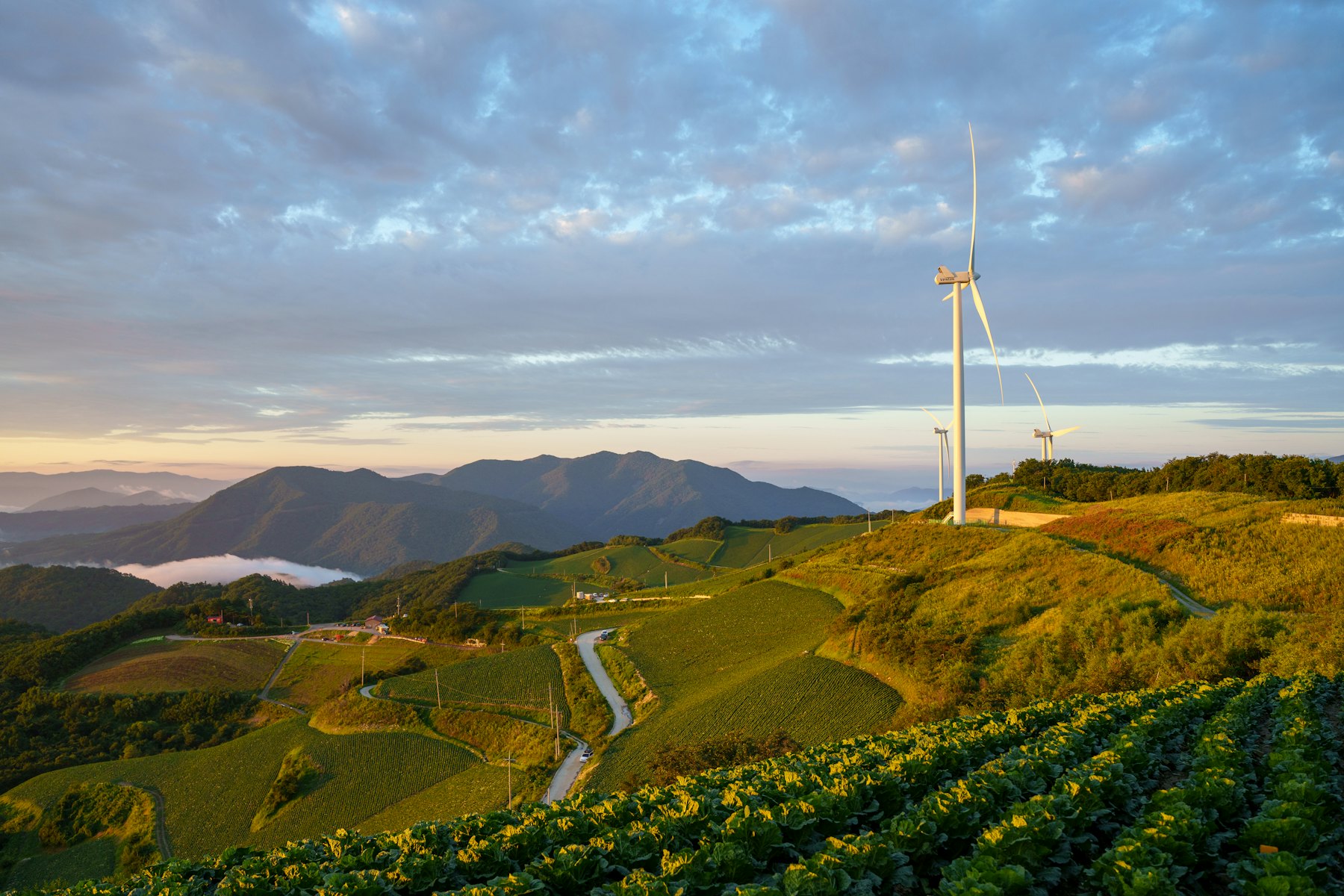Wind turbines standing on green hills above rural farmland at first light