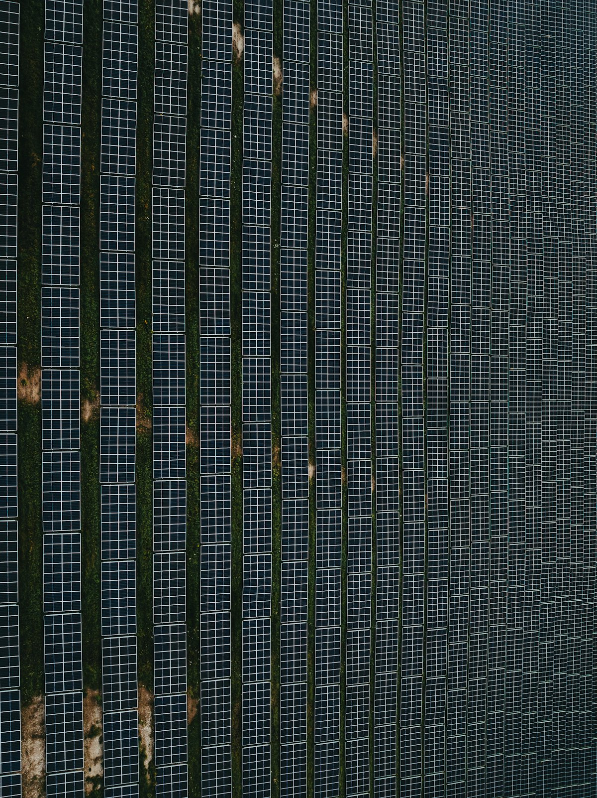 Close aerial view of solar panels with strips of green grass between the rows