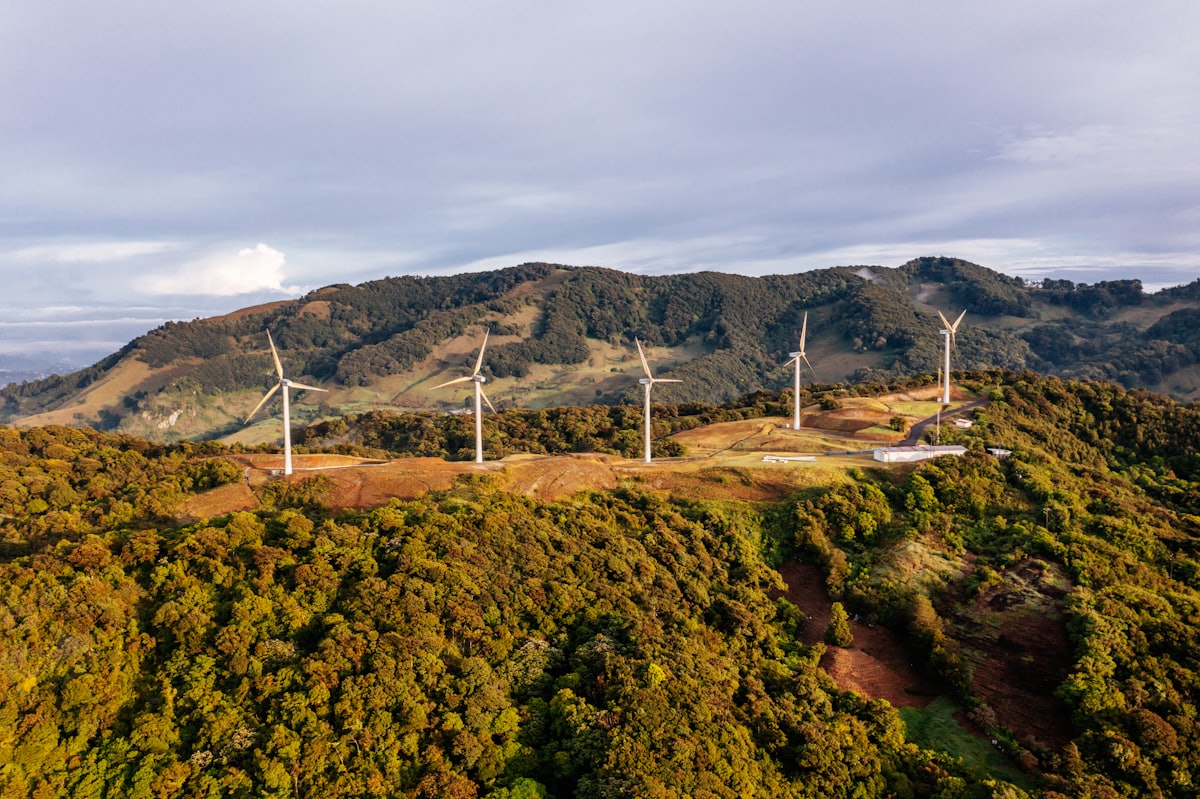 Aerial view of wind turbines set along a lush green forested ridge