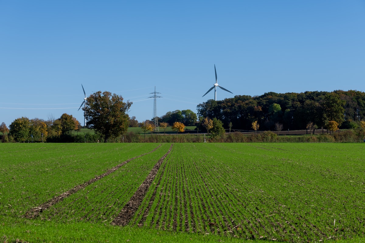Wind turbines beyond a green farmland field in the countryside on a clear day